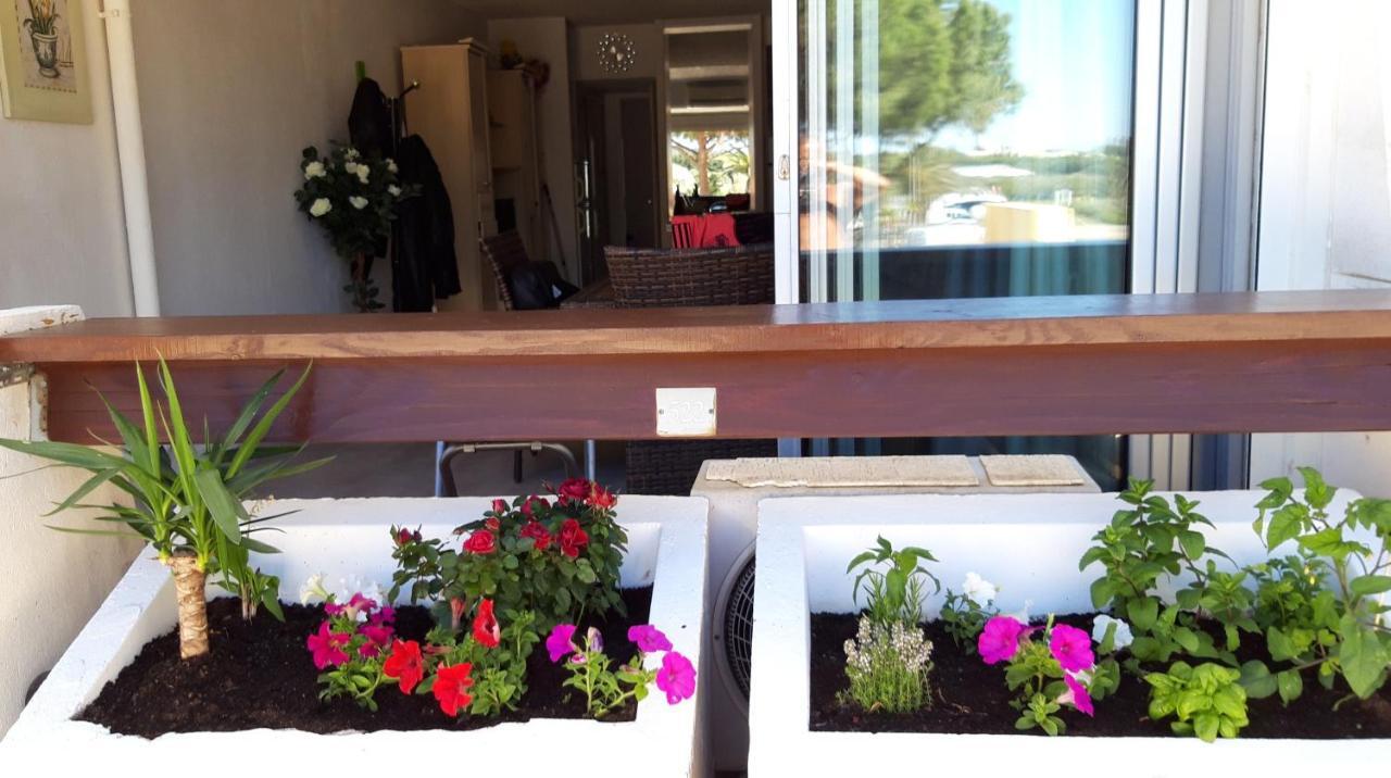 Village Naturiste, Cap D'Agde Port Nature 522 外观 照片